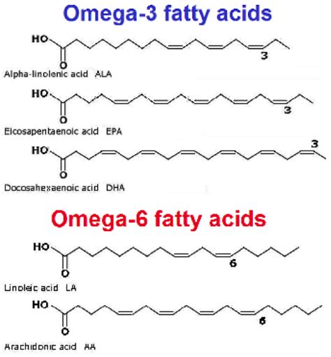 omega 3 fatty acid diagram.